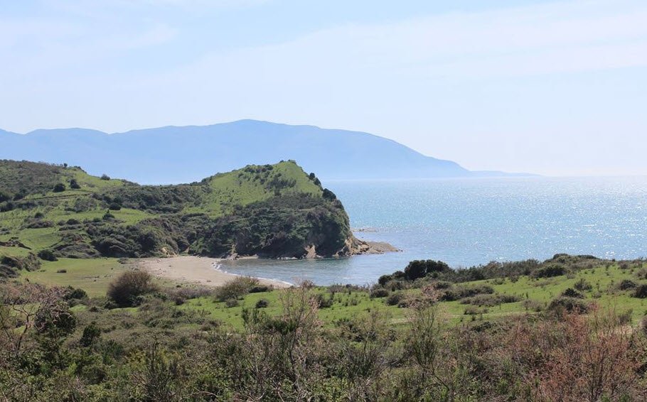 Pishë Poro, Albania, Albania